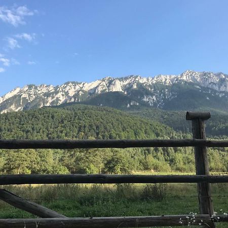 Pensiunea Kyfana Zarnesti Luaran gambar
