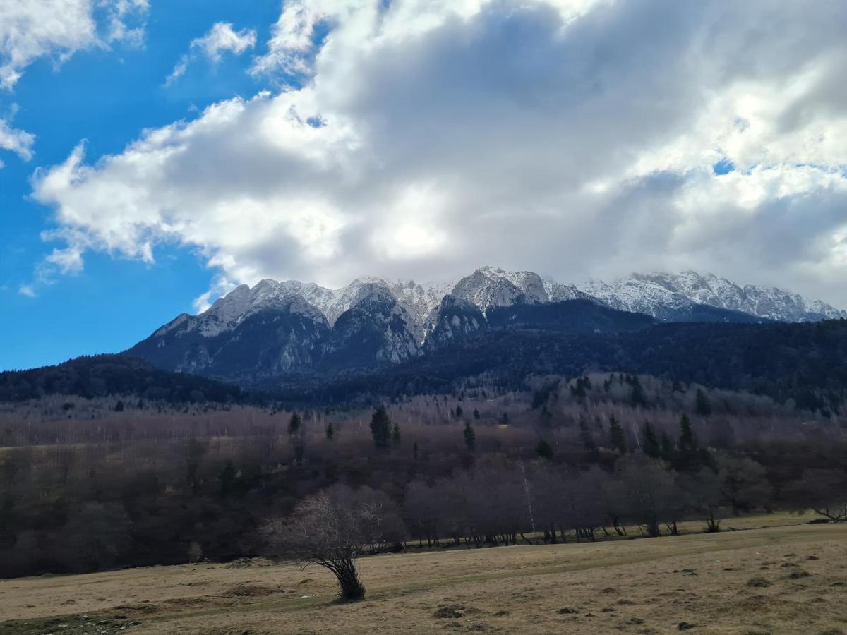 Pensiunea Kyfana Zarnesti Luaran gambar
