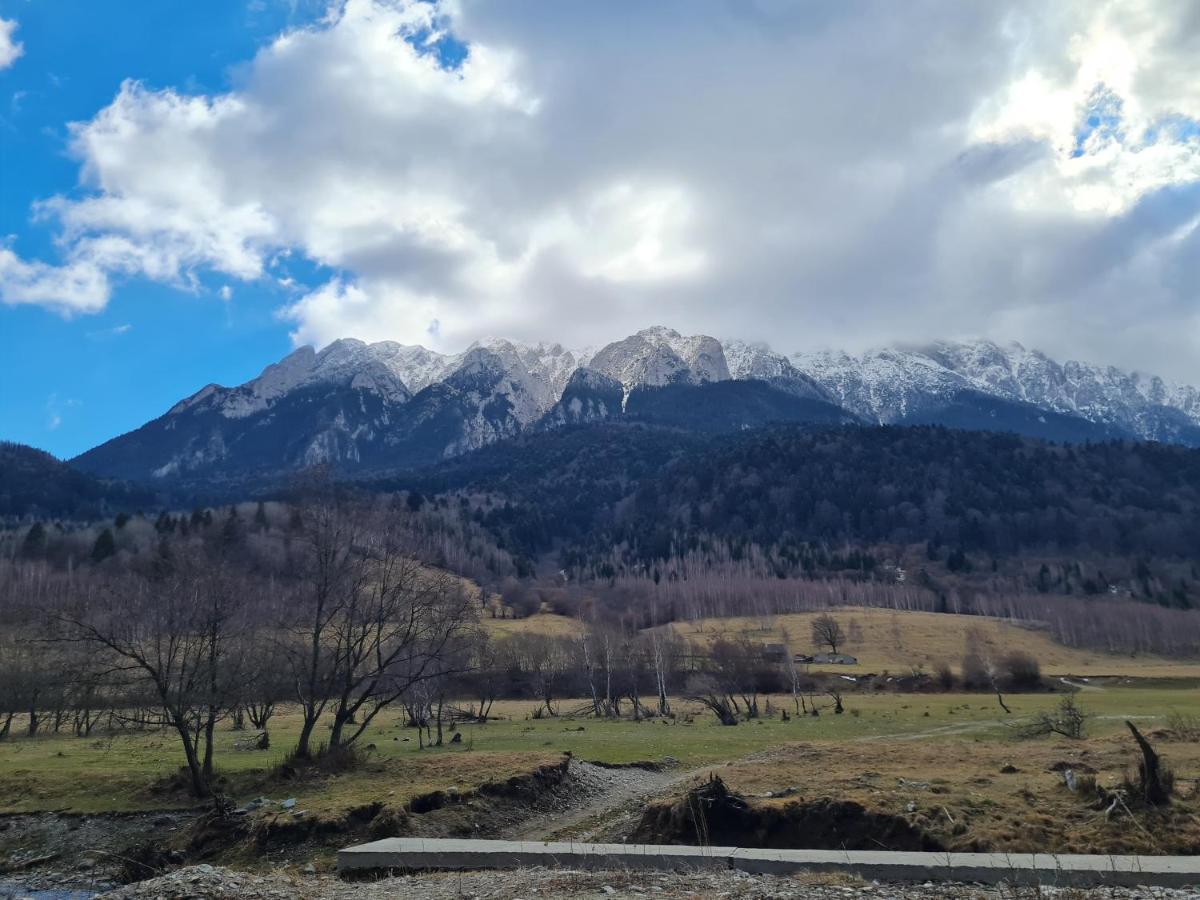 Pensiunea Kyfana Zarnesti Luaran gambar