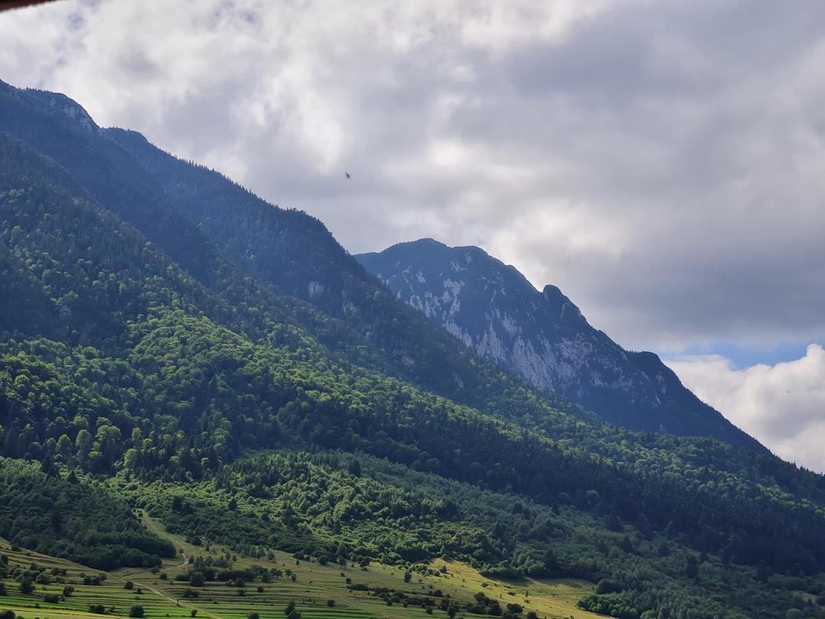 Pensiunea Kyfana Zarnesti Luaran gambar